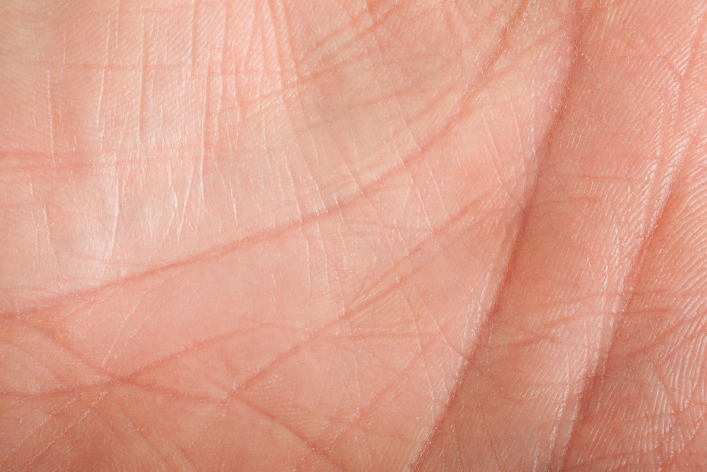 Comprendre l'anatomie de la peau des mains pour la santé de votre épiderme